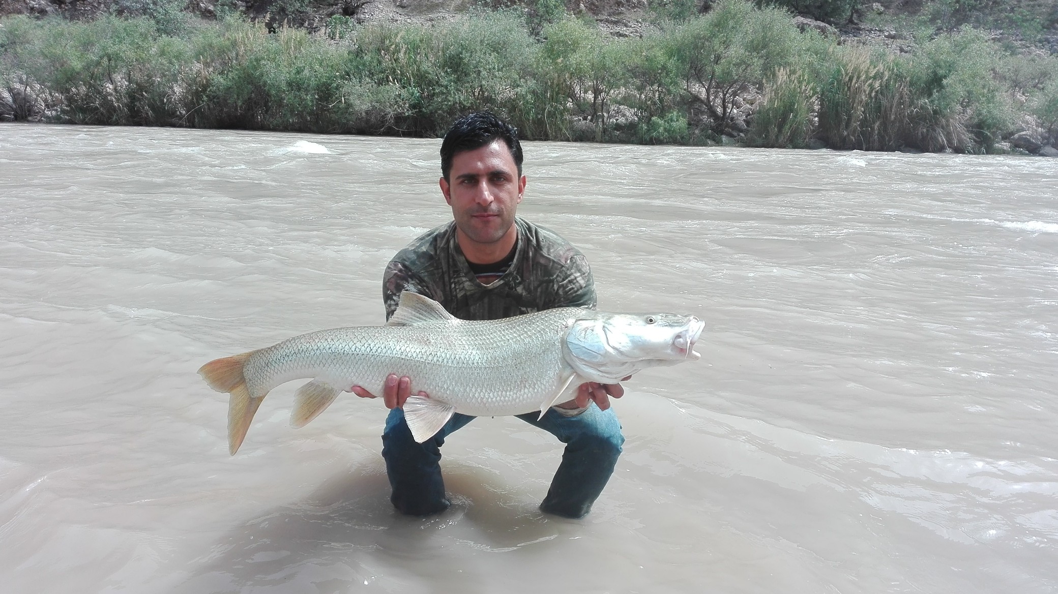 http://esfahanfishing.persiangig.com/mangar/IMG_20180503_105459-2080x1168.jpg