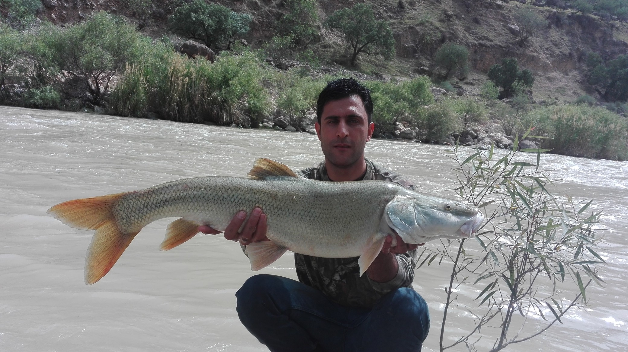 http://esfahanfishing.persiangig.com/mangar/IMG_20180503_105634-2080x1168.jpg